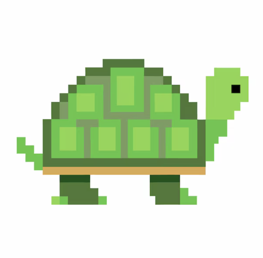 Turtle Racer